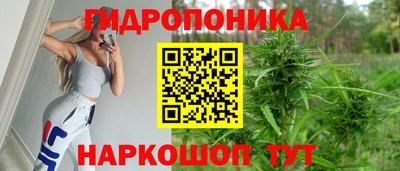 винт Обь