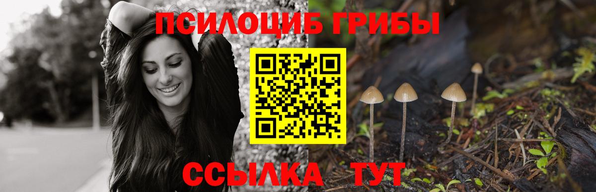 Галлюциногенные грибы мухоморы Благовещенск